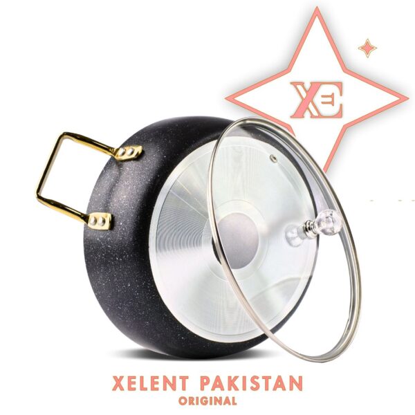 High-quality nonstick fishpot with lid by Xelent Pakistan Cookware
