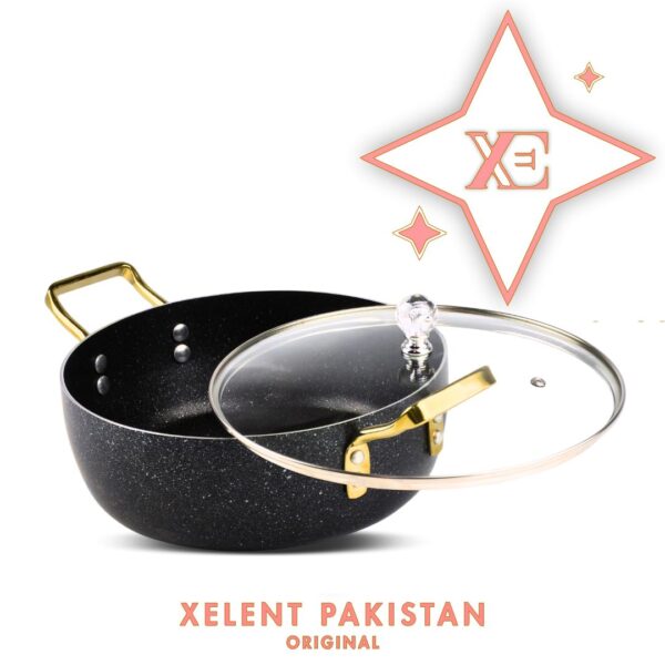 High-quality nonstick fishpot with lid by Xelent Pakistan Cookware